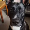 Logan Stringer - @logan.stringer7 - TikTok