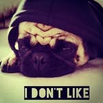 @loganstringer256 - Instagram