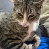 loganstringer716 - @loganstringer716 - TikTok