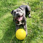 Logan - @logan.stuart.1048 - Instagram