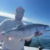 Dad_BodBBQ-SSCo - @loganswanson88 - TikTok