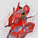 Logan Swanson - @swanybro14 - Instagram