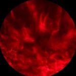 Logan Talley - @ttvflorida094 - Instagram
