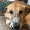 loganteal - @logan.teal - TikTok