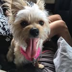 Logan Tewson - @logantewson_18 - Instagram
