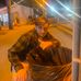 Logan Tharp - Facebook