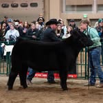 Logan Tharp - @logan_tharp_77 - Instagram