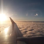 Logan Thorson - @l_thorson7 - Instagram