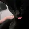 Logan Tracy - @logan.tracy2 - TikTok