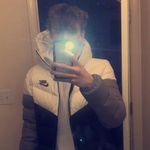 tommy - @loganwaites - Instagram