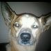 Logan Waldrup - Facebook