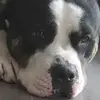 loganwallis46 - @loganwallis46 - TikTok