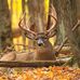 Logan Weddle - Facebook