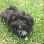 Logan Whelan - @loganwhelanthewolverine - Instagram