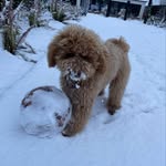 Loganharry - @logan_whittaker06 - Instagram