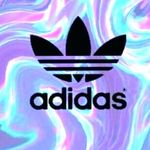 Logan Wilcox - @loganwilcox643 - Instagram