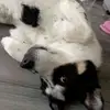 Logan Wilkinson - @logan.wilkinson64 - TikTok