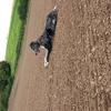 Logan Winder895 - @loganwinder895 - TikTok