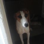 Logan Winder - Facebook