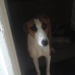 Logan Winder - @logan.winder.98 - Instagram