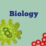 Logan womble - @thsbiologyproject - Instagram