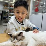 Logan Wong - @logan.w.t.h - Instagram