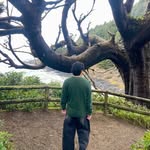 @logan_wong - Instagram