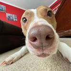 Logan Worsham - Facebook
