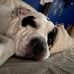 Logan Yerger - Facebook
