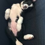 Logan Zimmerman - @lzim1234567890 - Instagram