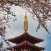 Loi Han - Facebook
