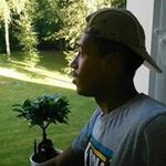 Loïc Thomas - @thomas.loic - Instagram