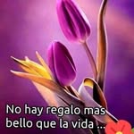 Loida lorenzo - @loidapastoralorenzo - Instagram
