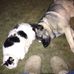 Lois Alberts - Facebook