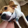 user80741415138 - @lois.albertss - TikTok