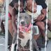 Lois Allison - Facebook