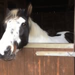 Lois appleby - @applebylois - Instagram