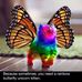 Lois Arthur - Facebook