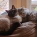 Lois Ash - Facebook