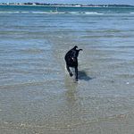 Lois - @loisbarlowolsen - Instagram