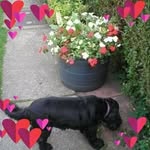 Lois Barnes - @lois.barnes3 - Instagram