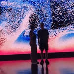 Lois Barnes - @lois_motion - Instagram