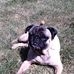 Lois Baumann - Facebook