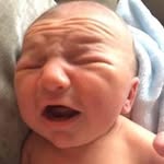 Lois Bayliss - @loisbayliss - Instagram