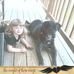 Lois Bean - Facebook