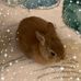 Lois Becker - Facebook