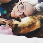 🌻🐱🌻 - @loisbee27 - Instagram