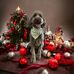 Lois Bender - Facebook