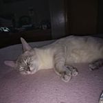 Lois Beres - @lois.beres - Instagram