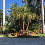 Lois Martin Beyer - @labeyer66 - Instagram